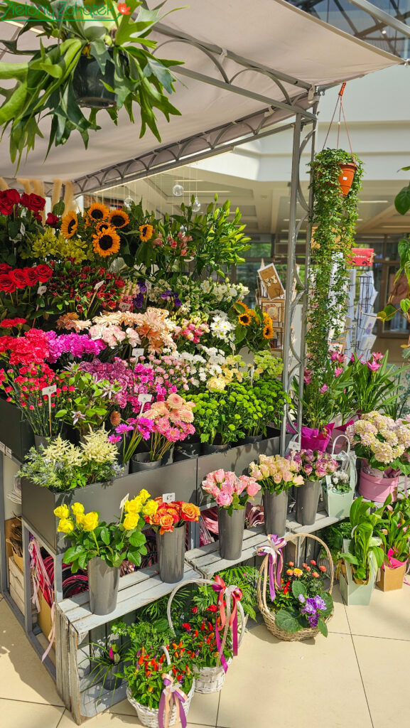 kwiaciarnia Zielony Zakątek Poznań Plaza